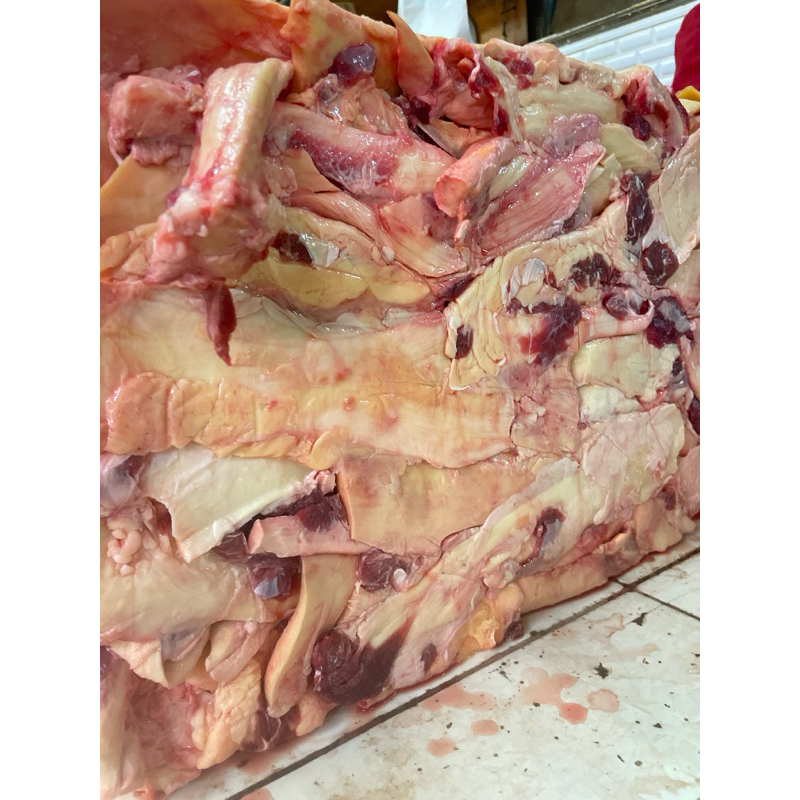 

Urat Mayang Sapi / Beef Ligamentum