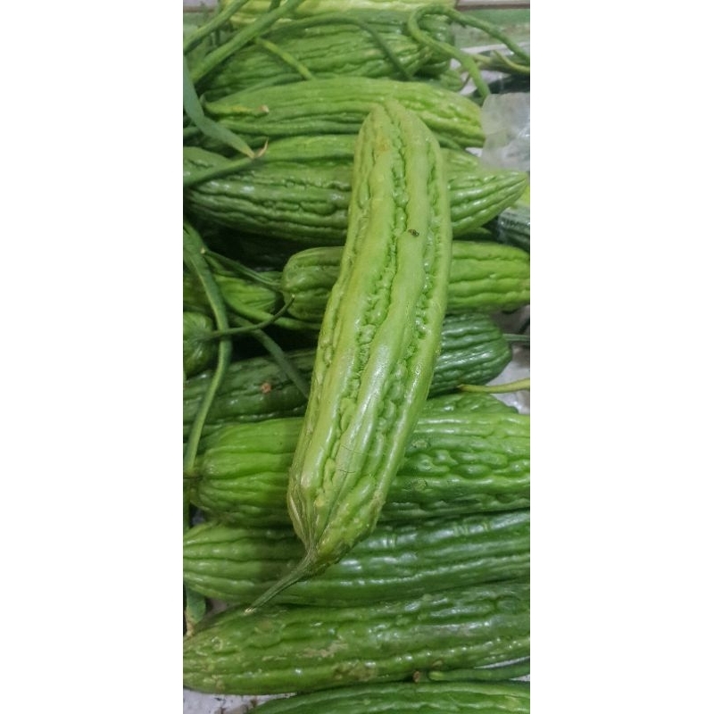 

Pare Hijau