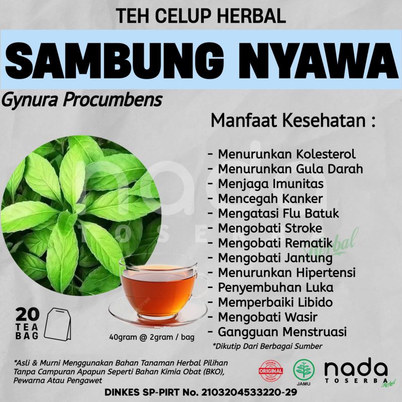 

Teh Celup Herbal SAMBUNG NYAWA Isi 20 Tea Bag | Kolesterol & Gula Darah | Gynura Procumbers