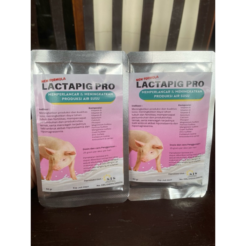 LACTAPIG PRO PELANCAR SUSU BABI