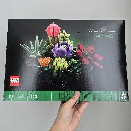 Lego Botanical Collection Succulents 10309