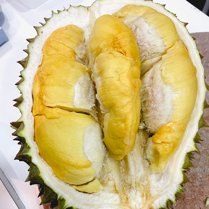 

Durian bawor alami jatuh dari pohon