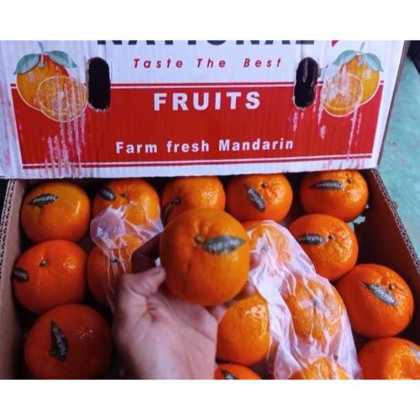 

buah jeruk kino premium
