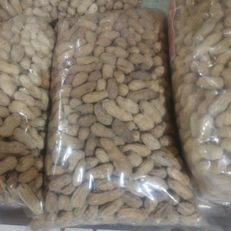 

kacang sangrai