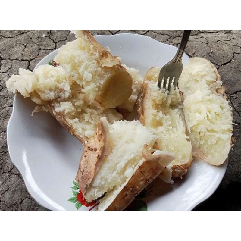 

Mbili / Ubi gembili fresh 1kg ( Beli 10kg bonus 1kg )