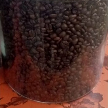 

kopi sangrai robusta lampung grade 1