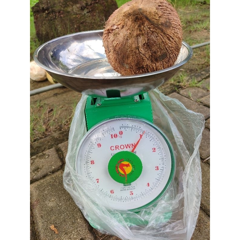 

kelapa tua bahan santan