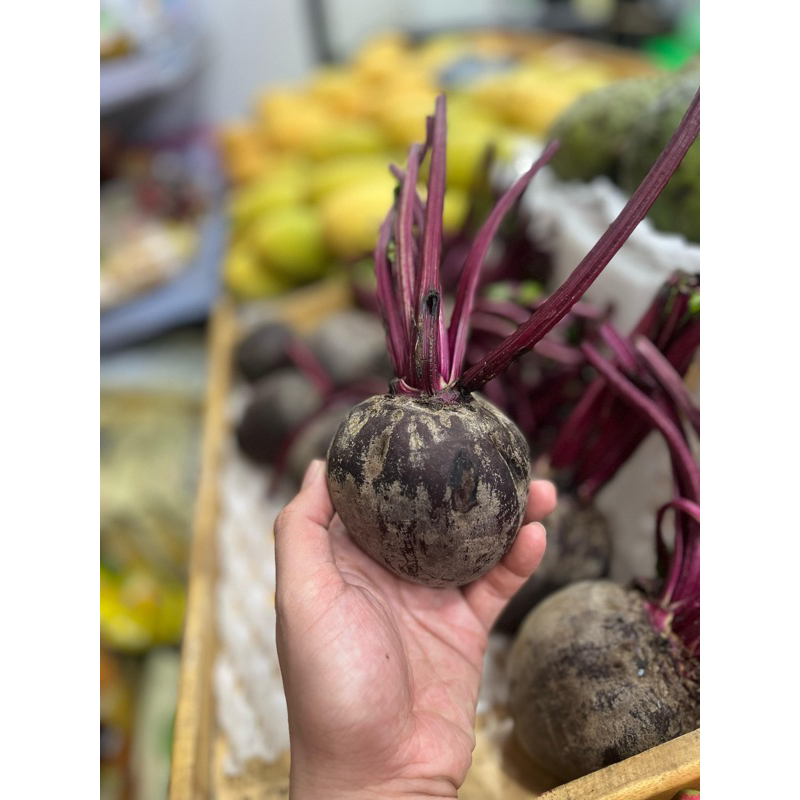 

BUAH BIT BEETROOT 1 KG meningkatkan darah | KAYA NUTRISI
