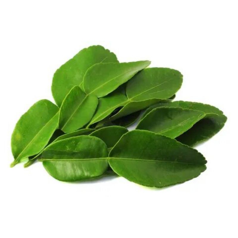 

daun jeruk per lembar 100 segar