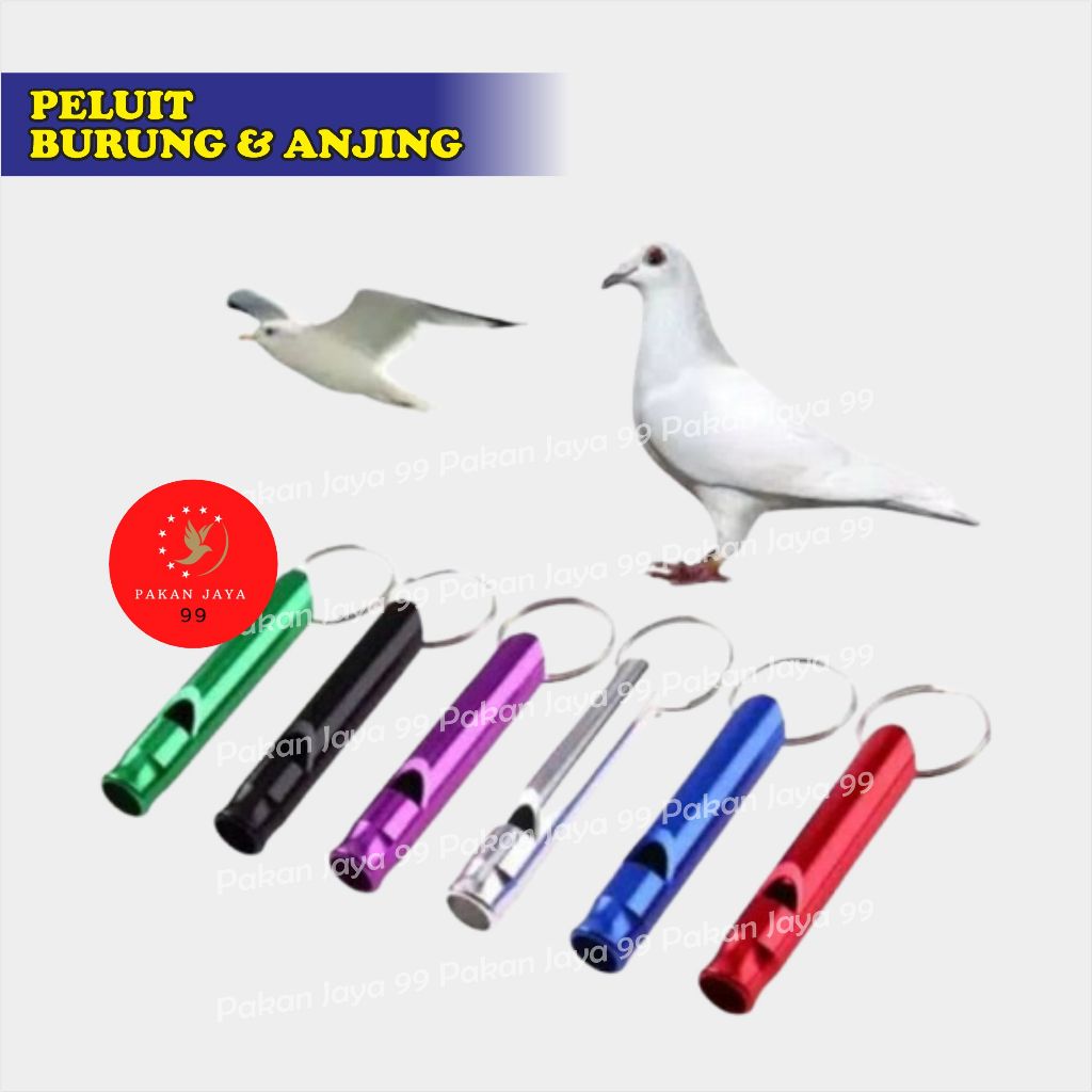 READY PELUIT PLUIT BURUNG MELATIH ANJING BURUNG PARUH BENGKOK KICAU AGAR JINAK FALCONERY FREE FLY