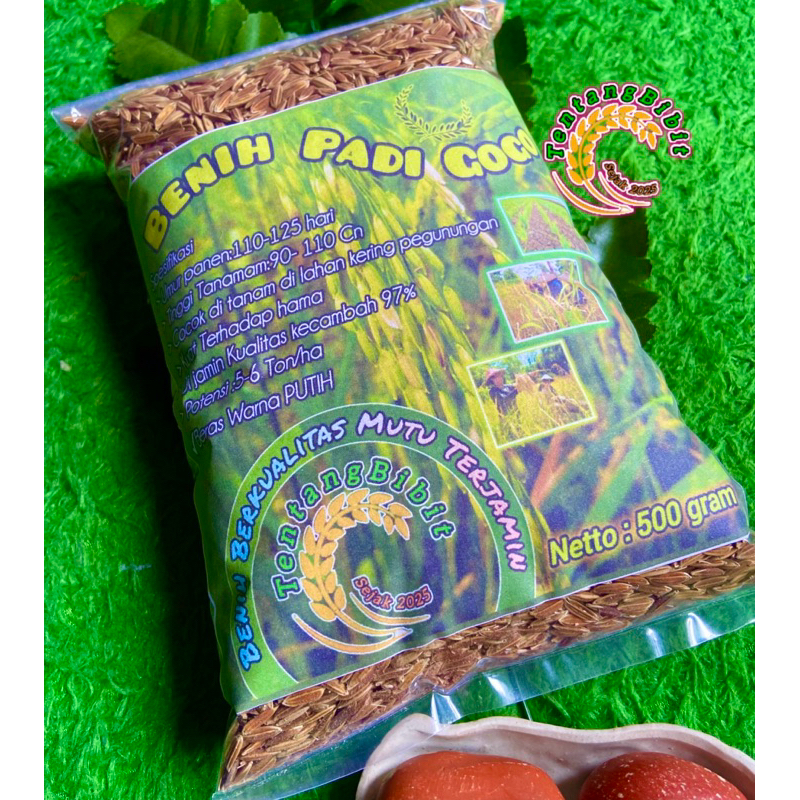 Liceriashop17 Benih Padi Gogo / Bibit Padi Huma / Bibit Padi Darat 500 Gram