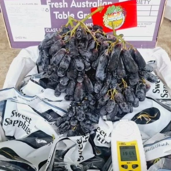 ANGGUR JARI AUSTRALIA 1 KERANJANG 9kg