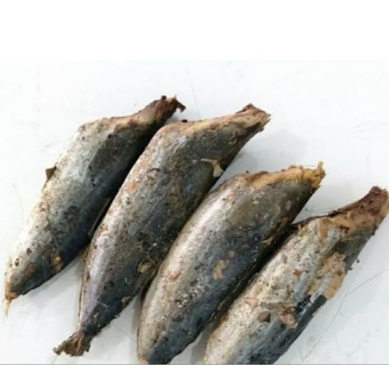 

ikan tongkol rebus 1 ekor berat 300-400 grm