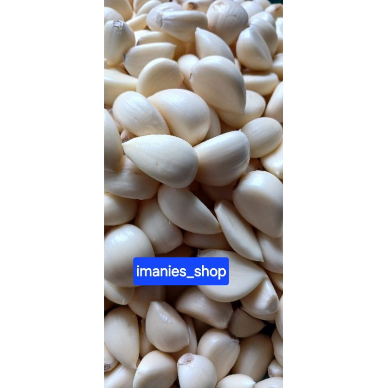 

Bawang kupas putih sinco fresh 250gr 500gr 1kg
