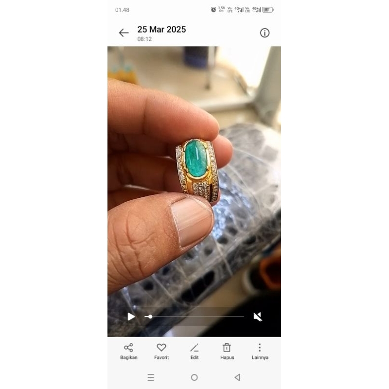 Bacan Doko Majiko giwang