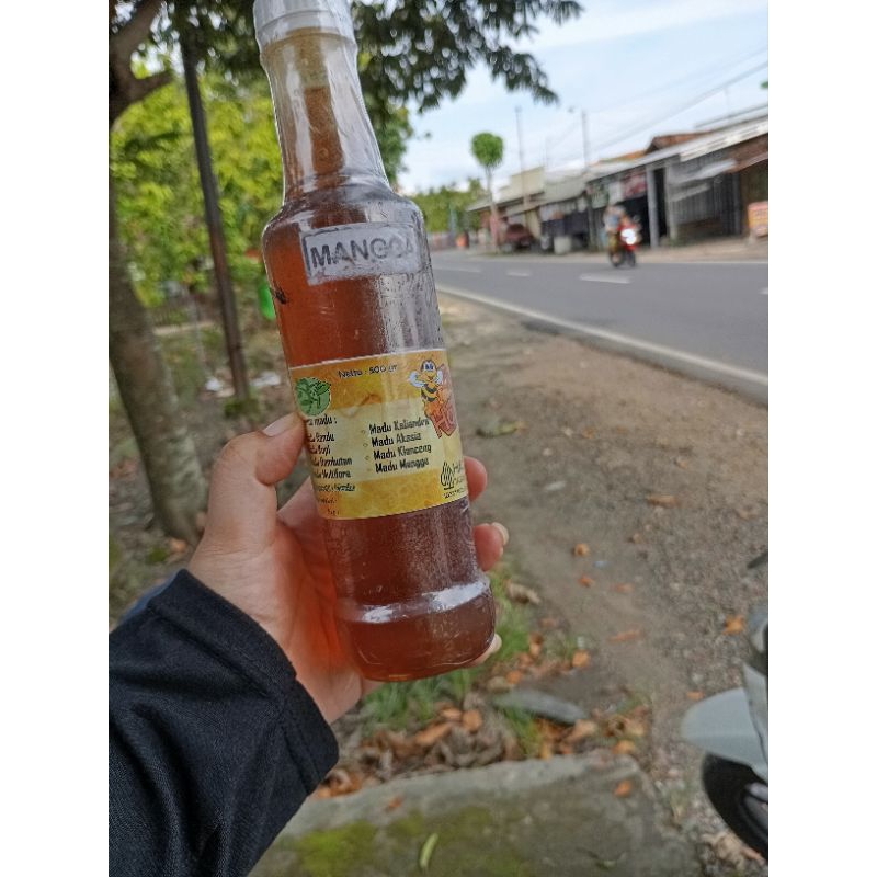 

Madu murni nektar bunga mangga original 500gram