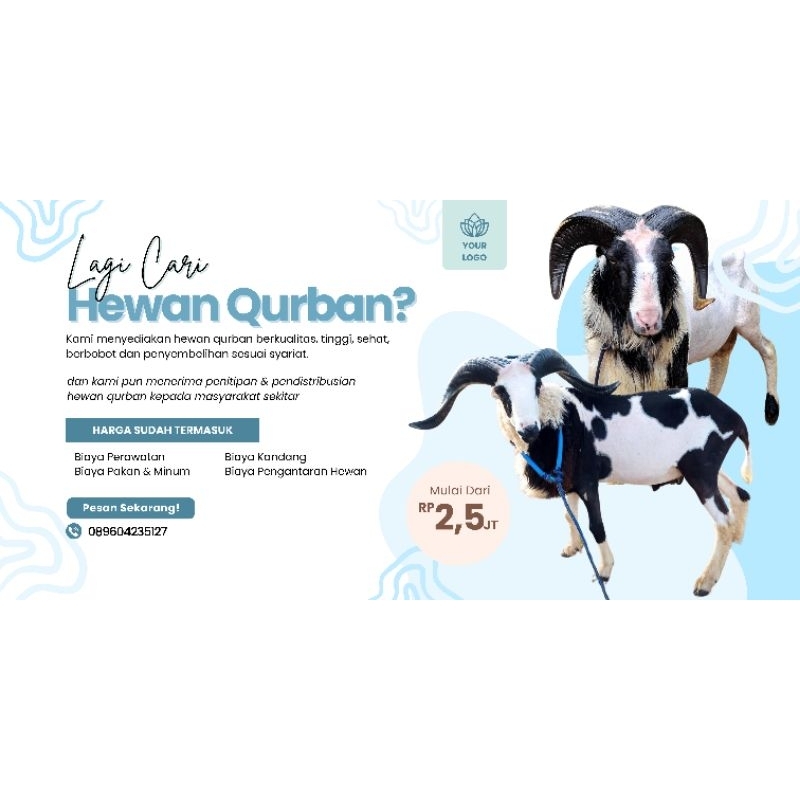 

domba untuk aqiqah qurban khusus bandung