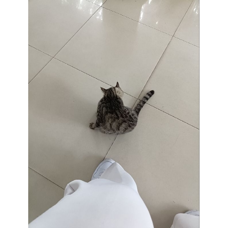 

[BACA DESKRIPSI] TAMBAHAN PACKING