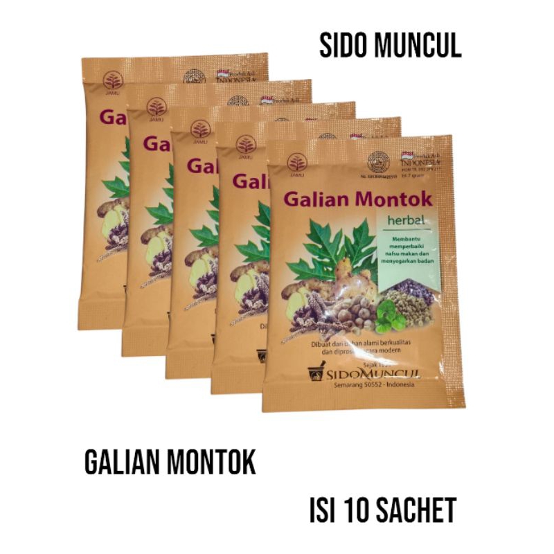

Galian montok isi 10 sachet