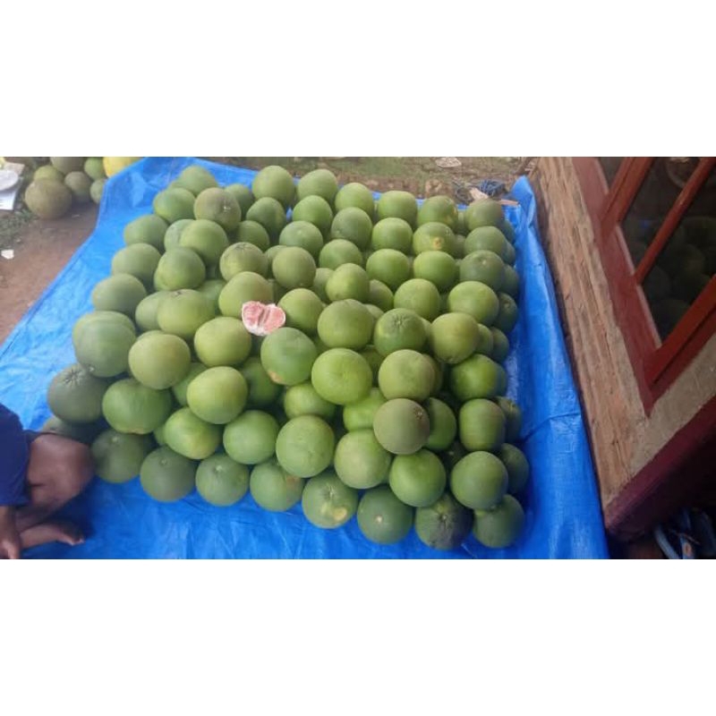 

jeruk pamelo madu tanpa biji 20 KG bebas pilih ukuran BONUS PISANG TANDUK 8 BIJI BERGARANSI