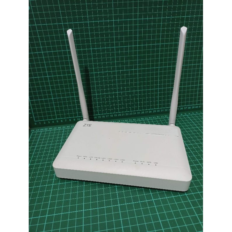 ZTE F670L PORT BIRU