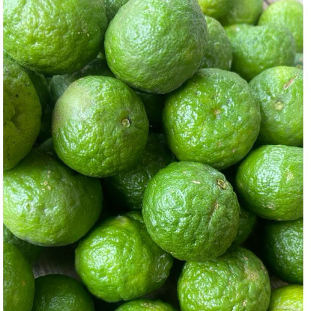 

1kg jeruk limau super jumbo