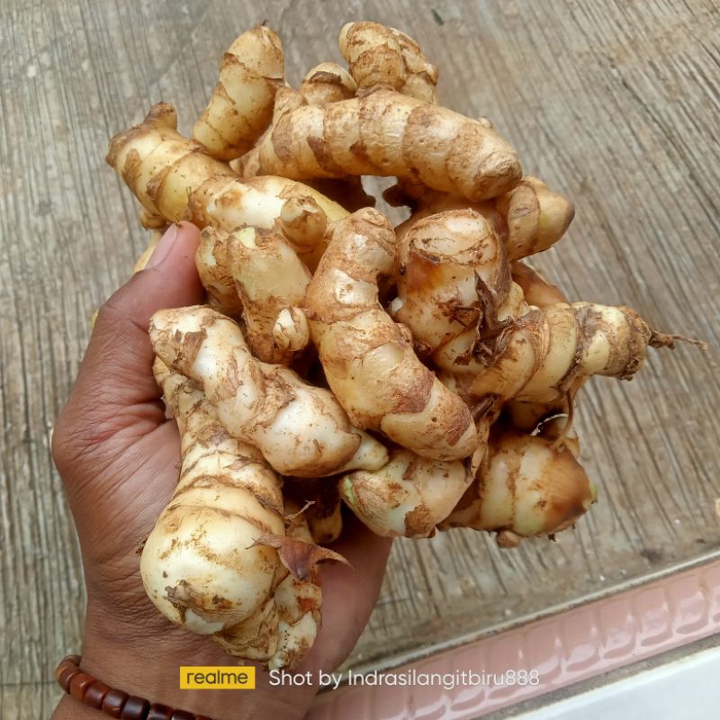 

Kunyit putih herbal spesial tubuh jadi sehat maximal (kemasan 500 gram)