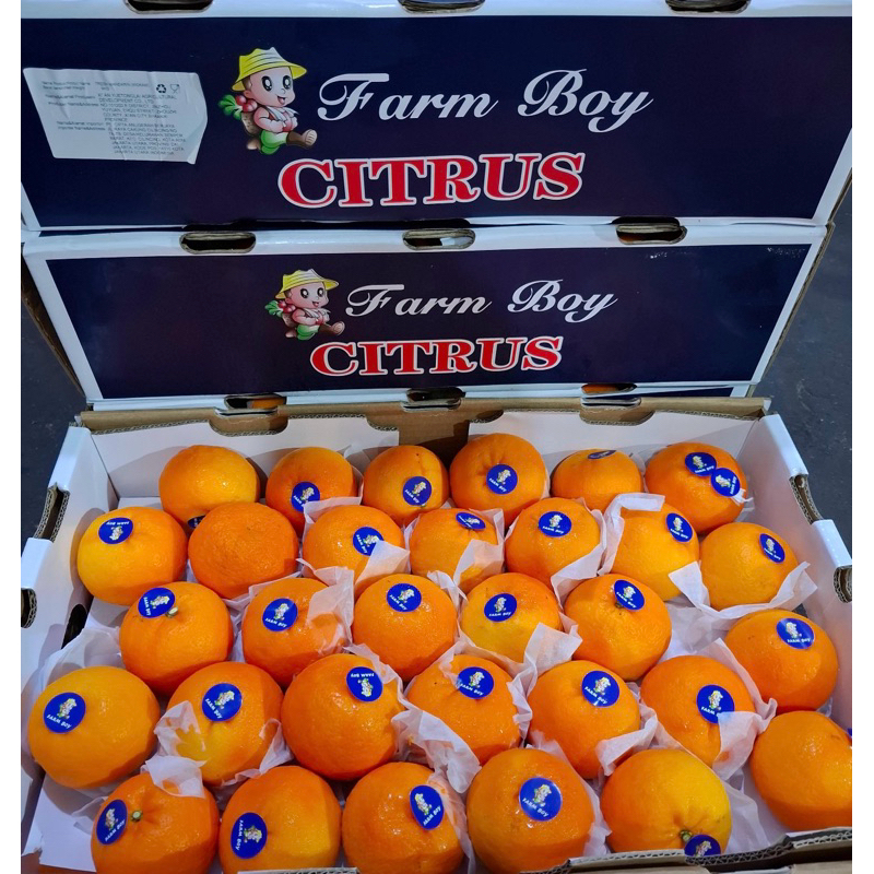 

JERUK WOKAM CITRUS DUS 9KG MANISSSSS READY