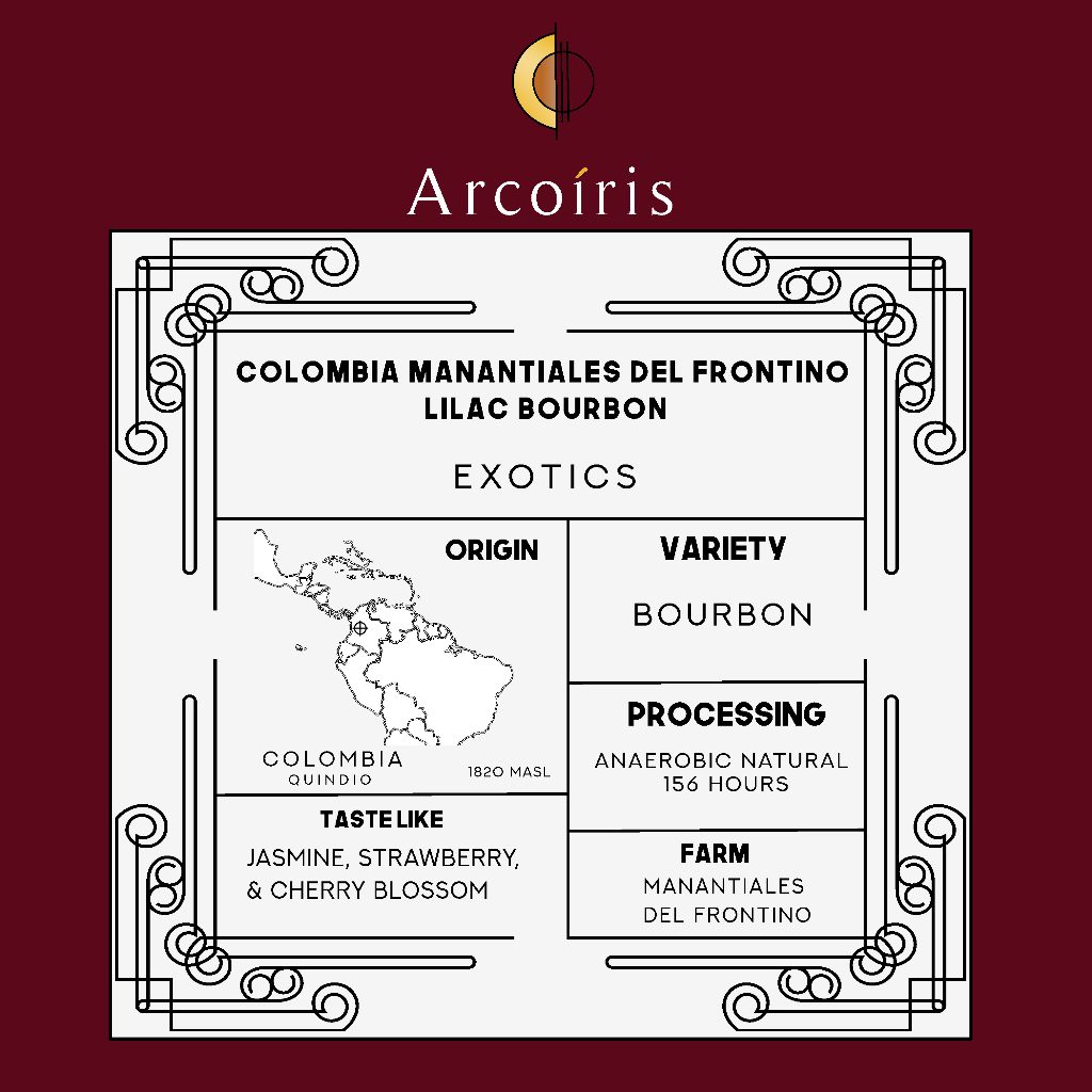 

Colombia Manantiales Del Frontino Lilac Bourbon Anaerobic Natural - Arcoiris Coffee - Kopi Arabika - 100 gram - 100 gram