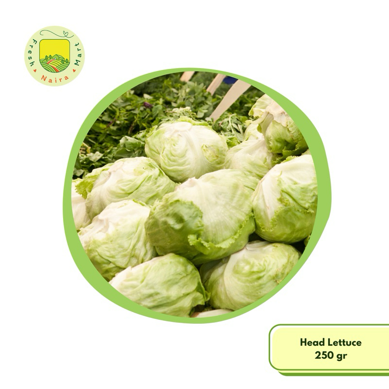 

Head Lettuce (sayur segar) 250 gr
