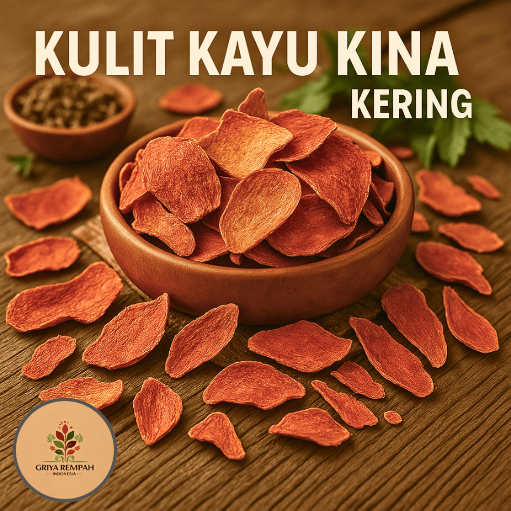 

KULIT KAYU KINA KERING 50 GRAM Rempah Herbal Simplisia Alami Anti Malaria Penurun Demam Menjaga Daya Tahan Tubuh Jamu Tradisional Cinchona sp