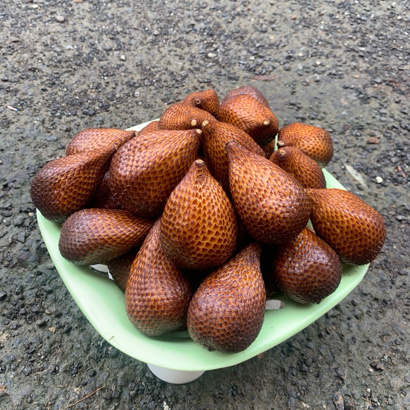 

Salak Pondoh Manis Buah Salak Fresh Pondoh 1kg isi 10-15 Buah Asli Banjarnegara Grade Premium