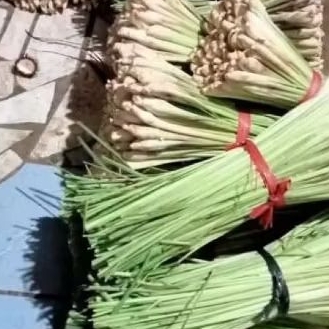 

Sereh Serai 1kg segar Bumbu Dapur