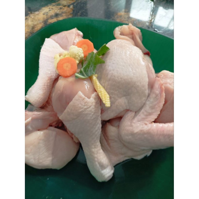 

Ayam negri - ayam potong