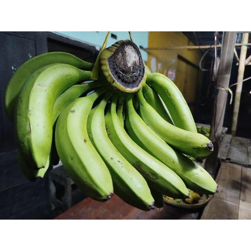

Pisang Ambon Manis 1 Sisir