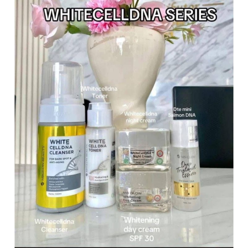 Paket wajah  MS glow lengkap terbaru skincare