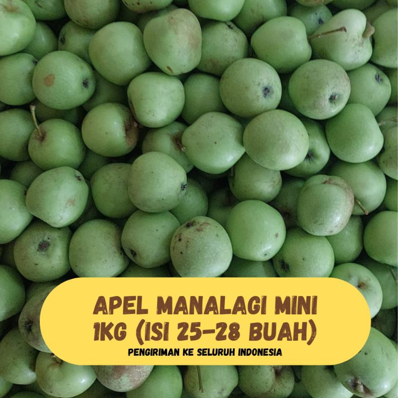 

Apel Manalagi 1kg, Isi 25-28 Buah