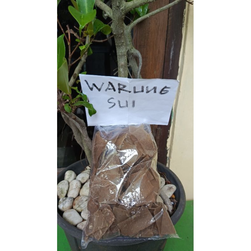 

Kerupuk Gandum Rasa Bawang 250 Gram