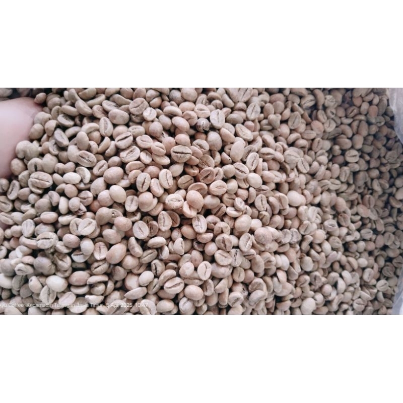 

GREENBEAN ROBUSTA BALI GRADE 1