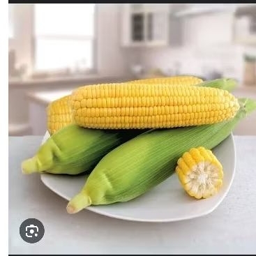 

jagung manis