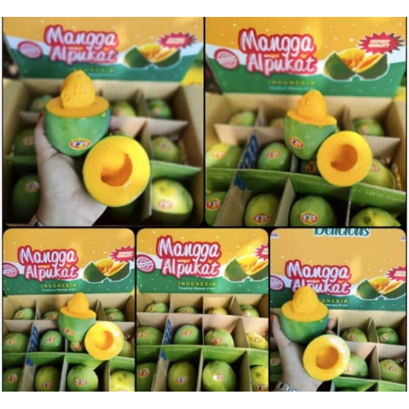 

Mangga Alpukat Bangil Asli Pasuruan