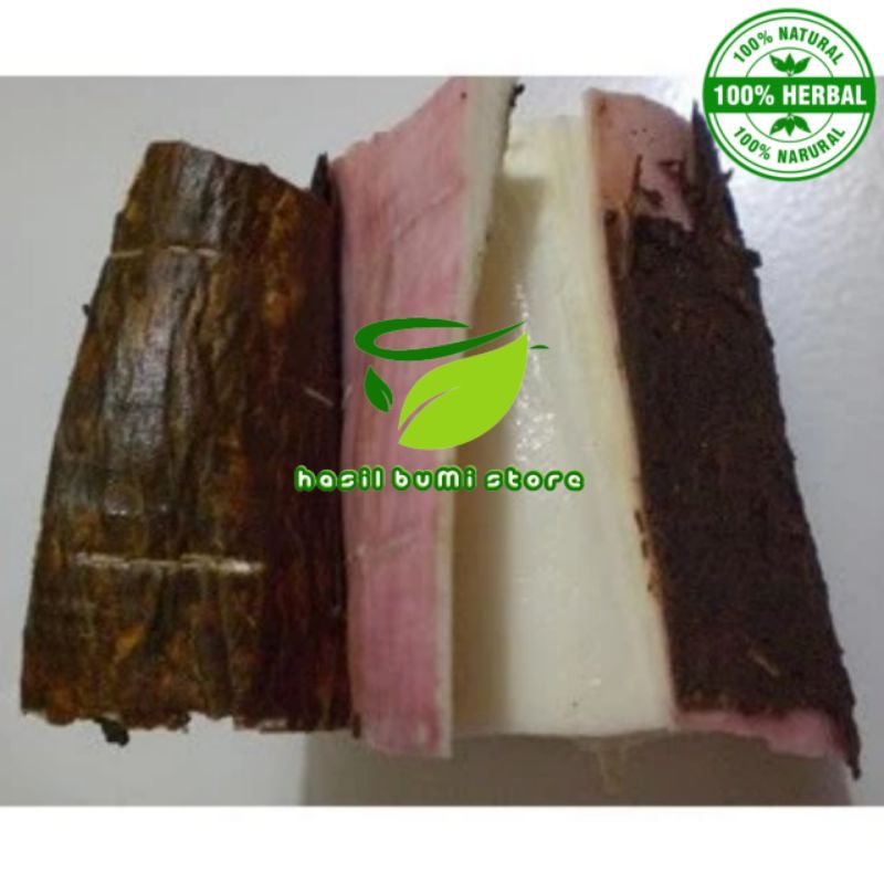 

singkong pulen segar 1kg singkong kulit merah