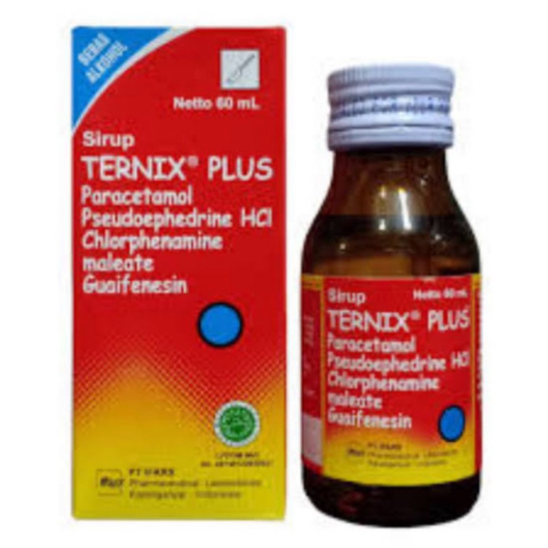 TERNIX PLUS SIRUP