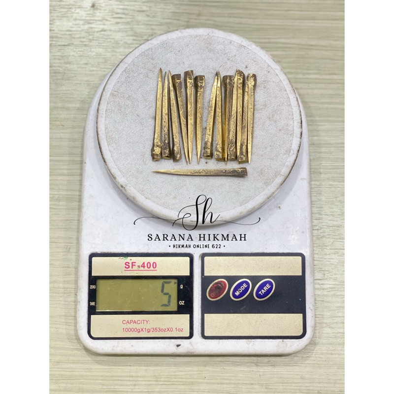 100% ORIGINAL - 6cm PAKU BUMI RAJAH PAKU KUNINGAN ASLI