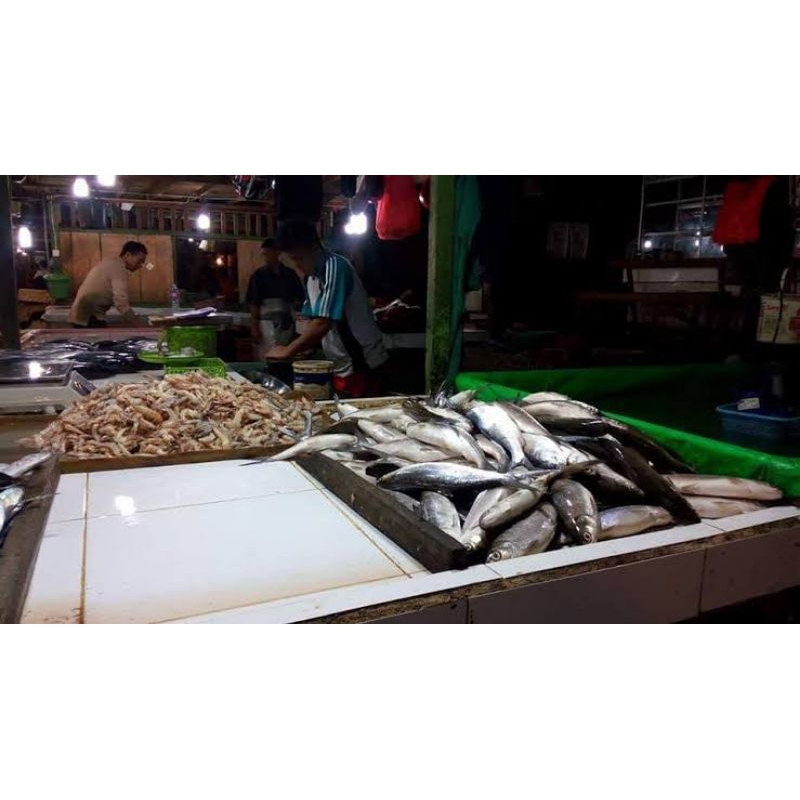 

ikan bawal/ ikan bawal segar fresh pasar pagi 500gram
