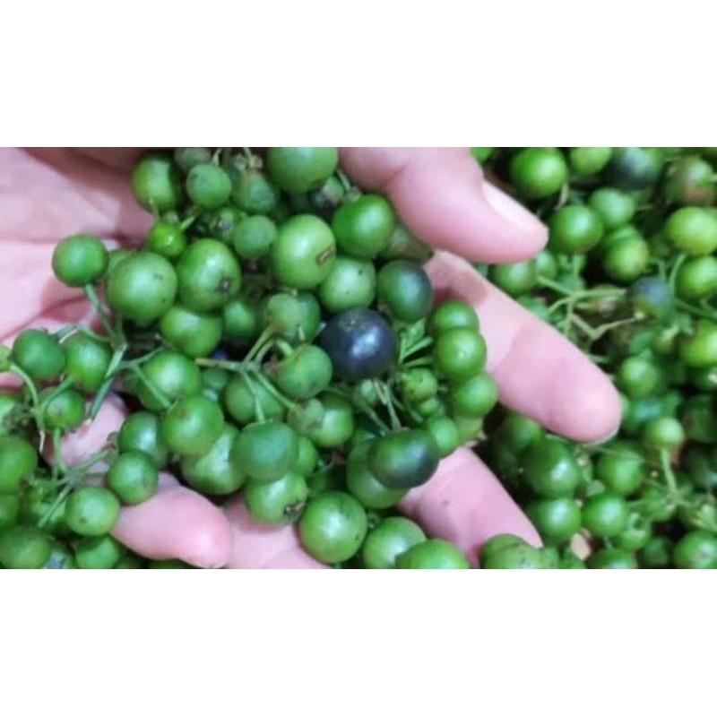

leunca 250 gram
