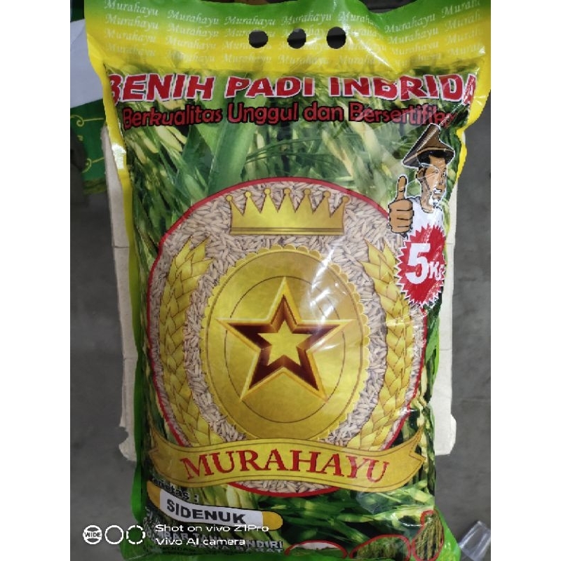 Benih Padi Sidenuk Bibit Padi Denok Bersertifikat Kemasan 5kg