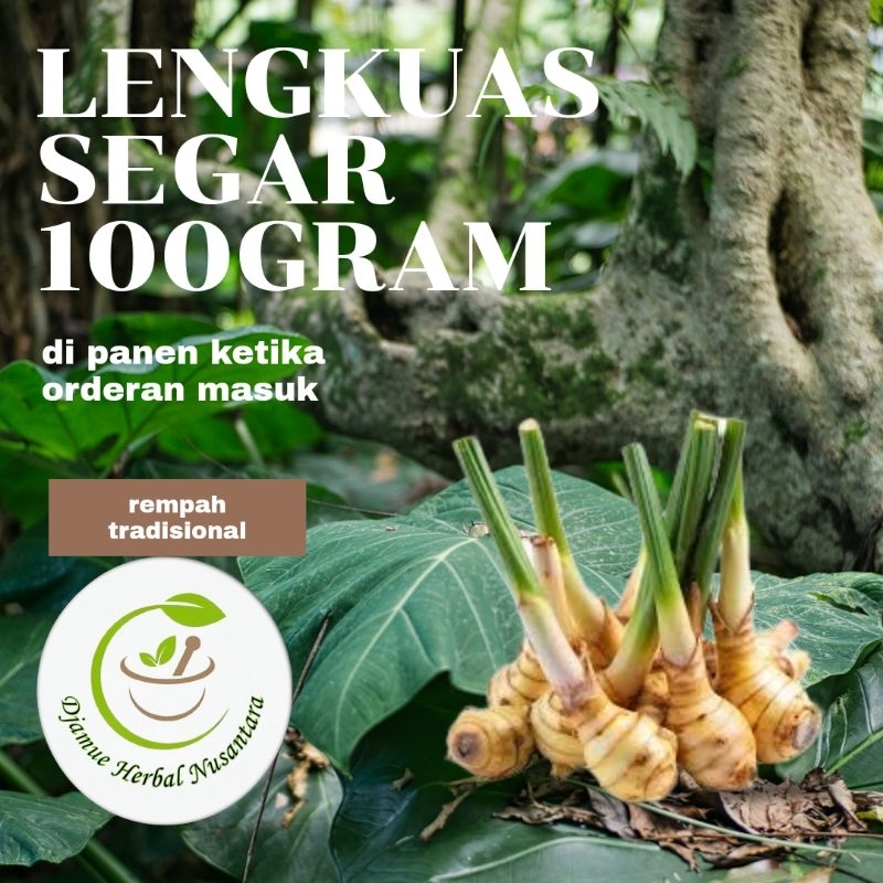 

rempah sayur asam dan rempah daging lengkuas segar 100 gram kualitas premium di panen ketika ada orderan masuk