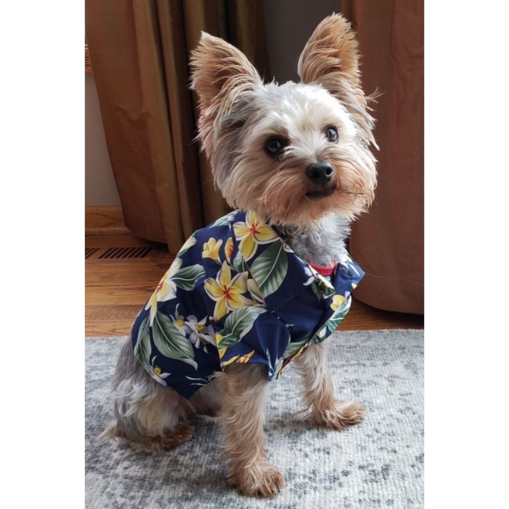 Baju Kemeja Pantai Hawaii Untuk Anjing Kucing/ Baju Pantai Hawai Anjing Kucing/ Kemeja Kucing Kelinc