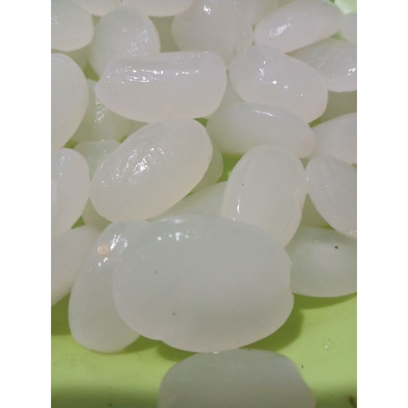 

KOLANG KALING SEGAR 1KG